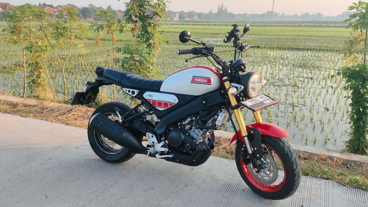 Yamaha XSR 155